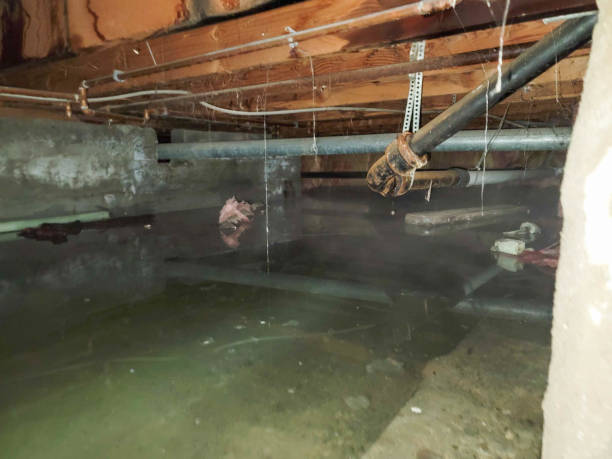 Best Professional water damage repair  in Ossian, IN