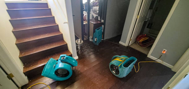 Water damage restoration insurance claims in IN