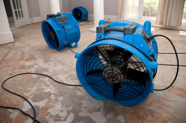 Best Water damage cleanup near me  in Ossian, IN