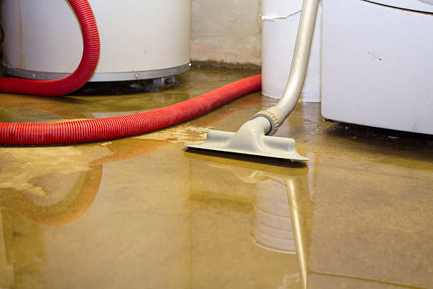Best 24-hour water damage restoration  in Ossian, IN