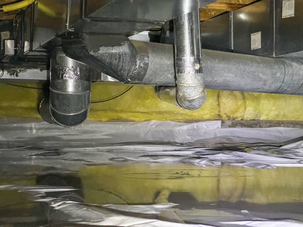 Best Water damage restoration process  in Ossian, IN