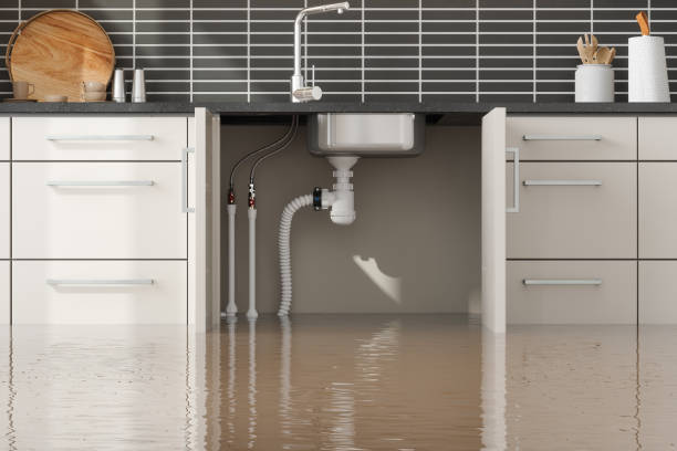 Water damage restoration mold remediation in IN