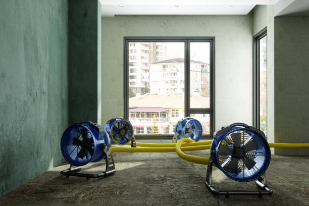 Best 24/7 water damage repair  in Ossian, IN
